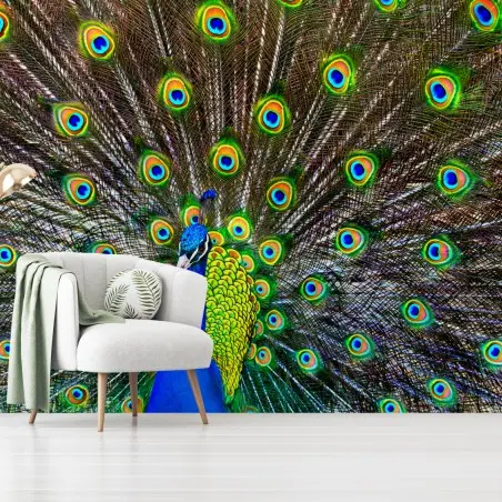 Papier peint paon bleu en éventail irisé – Wallnifity®