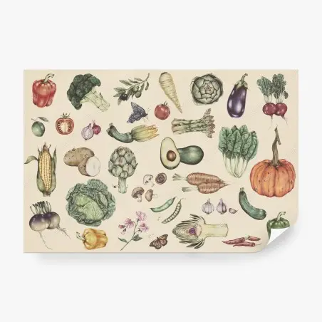 Papier peint illustration botanique de légumes au style vintage – Wallnifity®