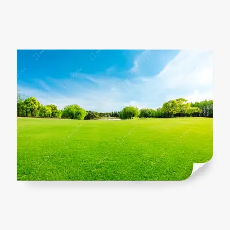Papier peint prairie verdoyante au printemps – Wallnifity®
