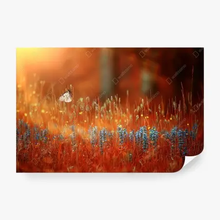 Papier peint papillon sur fleurs sauvages au coucher de soleil – Wallnifity®