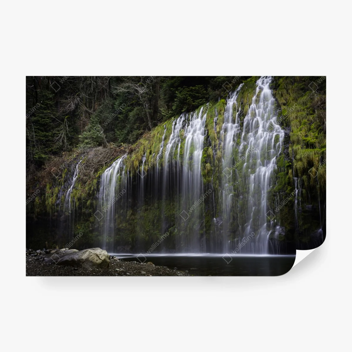Papier peint cascade moussu en forêt – Wallnifity®