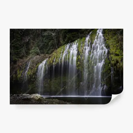 Papier peint cascade moussu en forêt – Wallnifity®