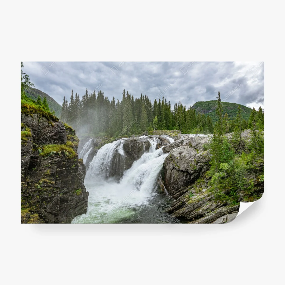 Papier peint cascade sauvage entre rochers et sapins – Wallnifity® Papier peint cascade sauvage entre rochers et sapins – Wallnifity®