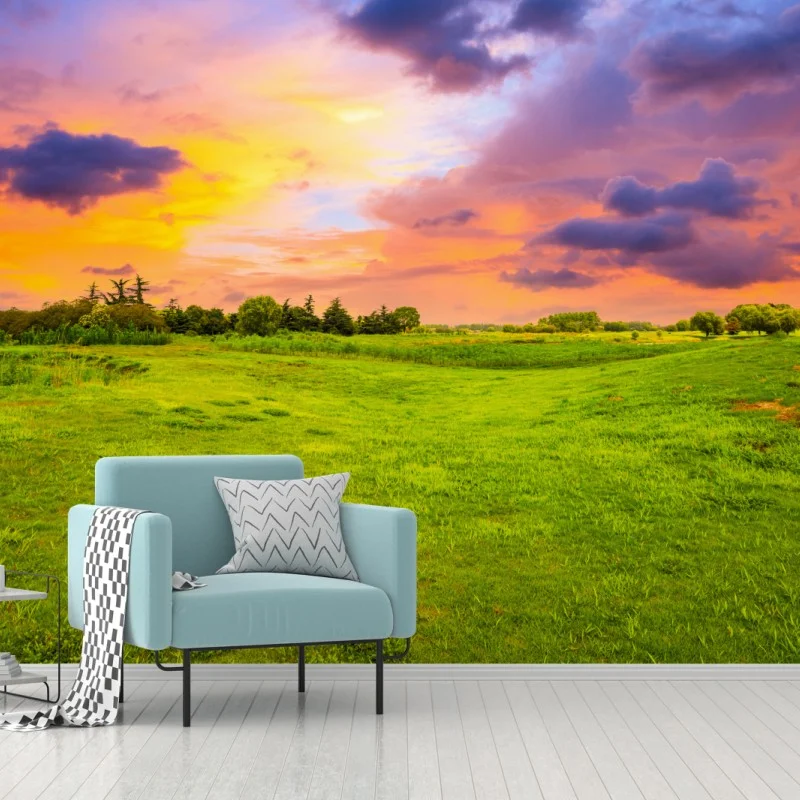 Papier peint coucher de soleil sur prairie verdoyante – Wallnifity® Papier peint coucher de soleil sur prairie verdoyante – Wallnifity®