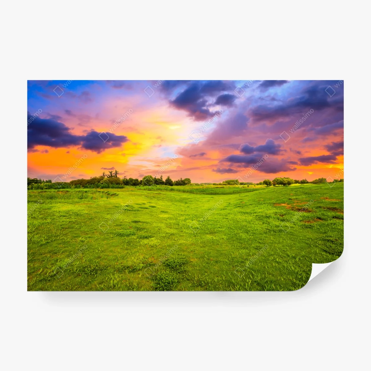 Papier peint coucher de soleil sur prairie verdoyante – Wallnifity® Papier peint coucher de soleil sur prairie verdoyante – Wallnifity®