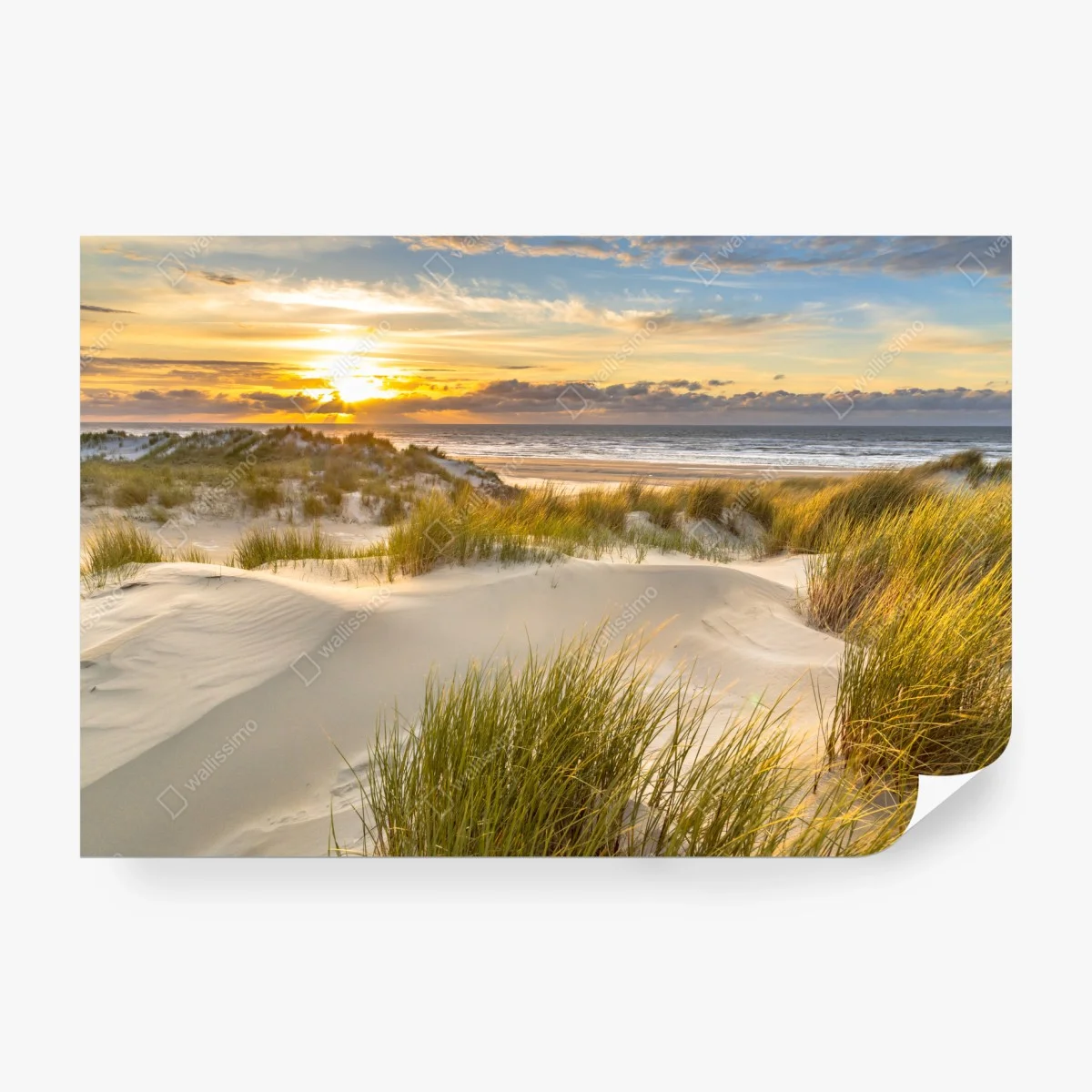 Papier peint coucher de soleil sur les dunes d'Ameland – Wallnifity® Papier peint coucher de soleil sur les dunes d'Ameland – Wallnifity®