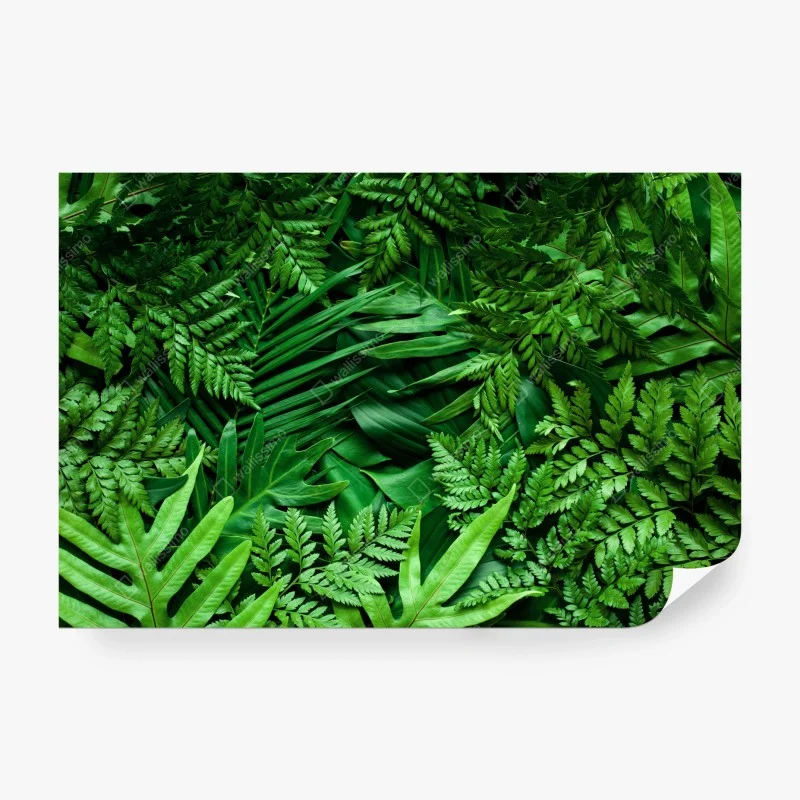 Papier peint végétation tropicale luxuriante – Wallnifity® Papier peint végétation tropicale luxuriante – Wallnifity®
