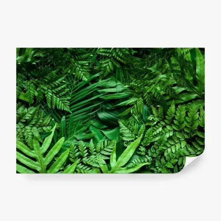 Papier peint végétation tropicale luxuriante – Wallnifity®