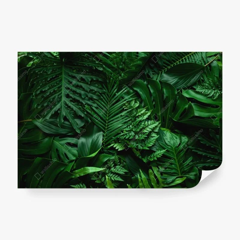 Papier peint jungle de feuilles luxuriantes – Wallnifity® Papier peint jungle de feuilles luxuriantes – Wallnifity®