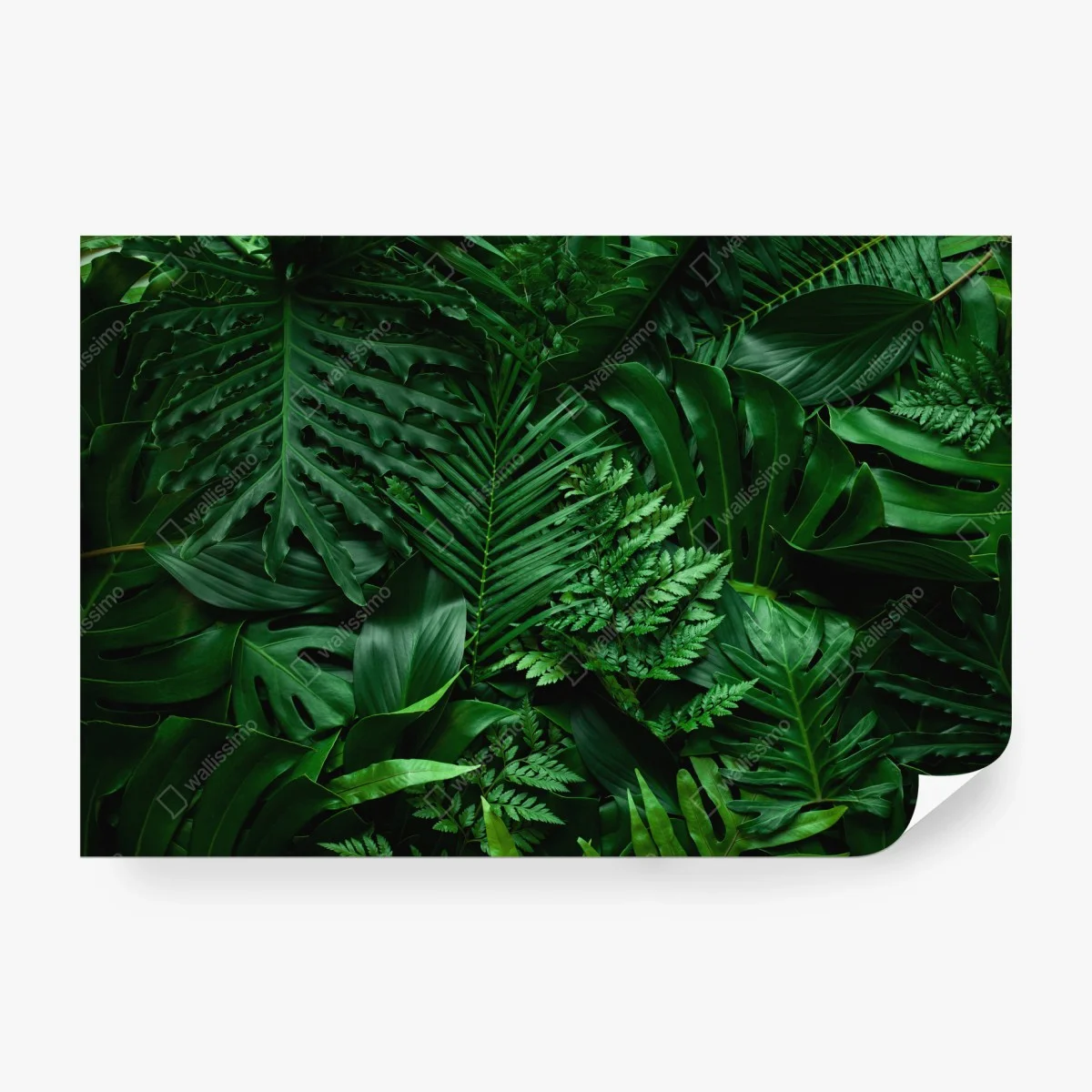 Papier peint jungle de feuilles luxuriantes – Wallnifity® Papier peint jungle de feuilles luxuriantes – Wallnifity®