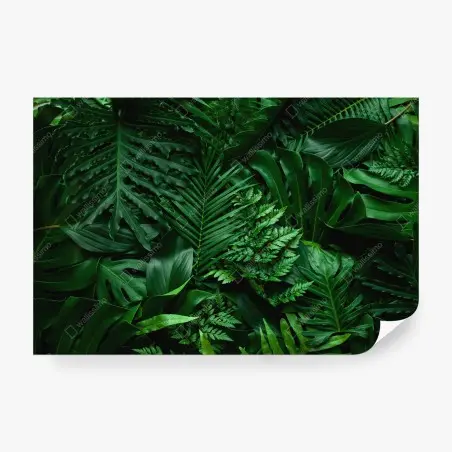 Papier peint jungle de feuilles luxuriantes – Wallnifity®