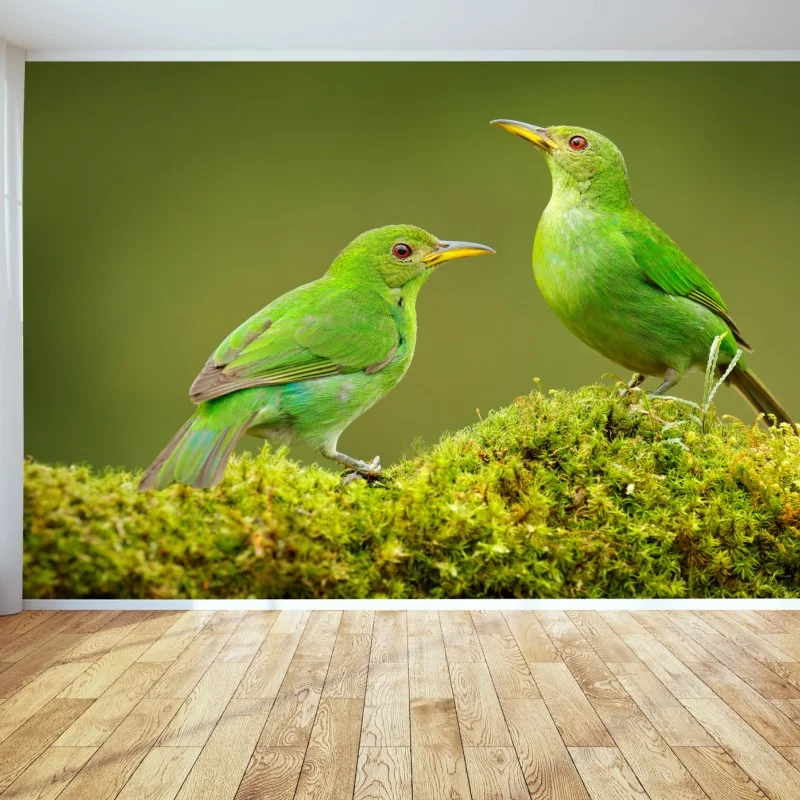Oiseaux – Wallnifity®