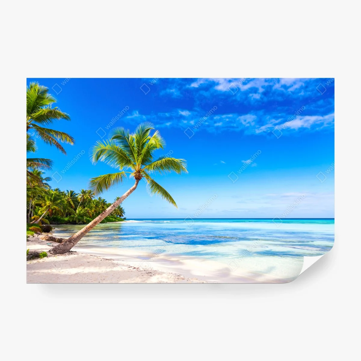 Papier peint paradis tropical au bord du lagon – Wallnifity® Papier peint paradis tropical au bord du lagon – Wallnifity®