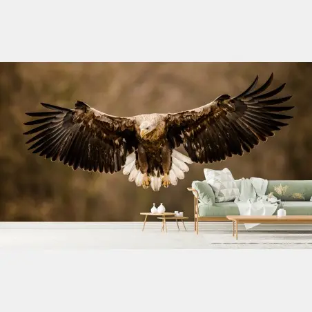 Papier peint aigle majestueux en plein vol – Wallnifity®