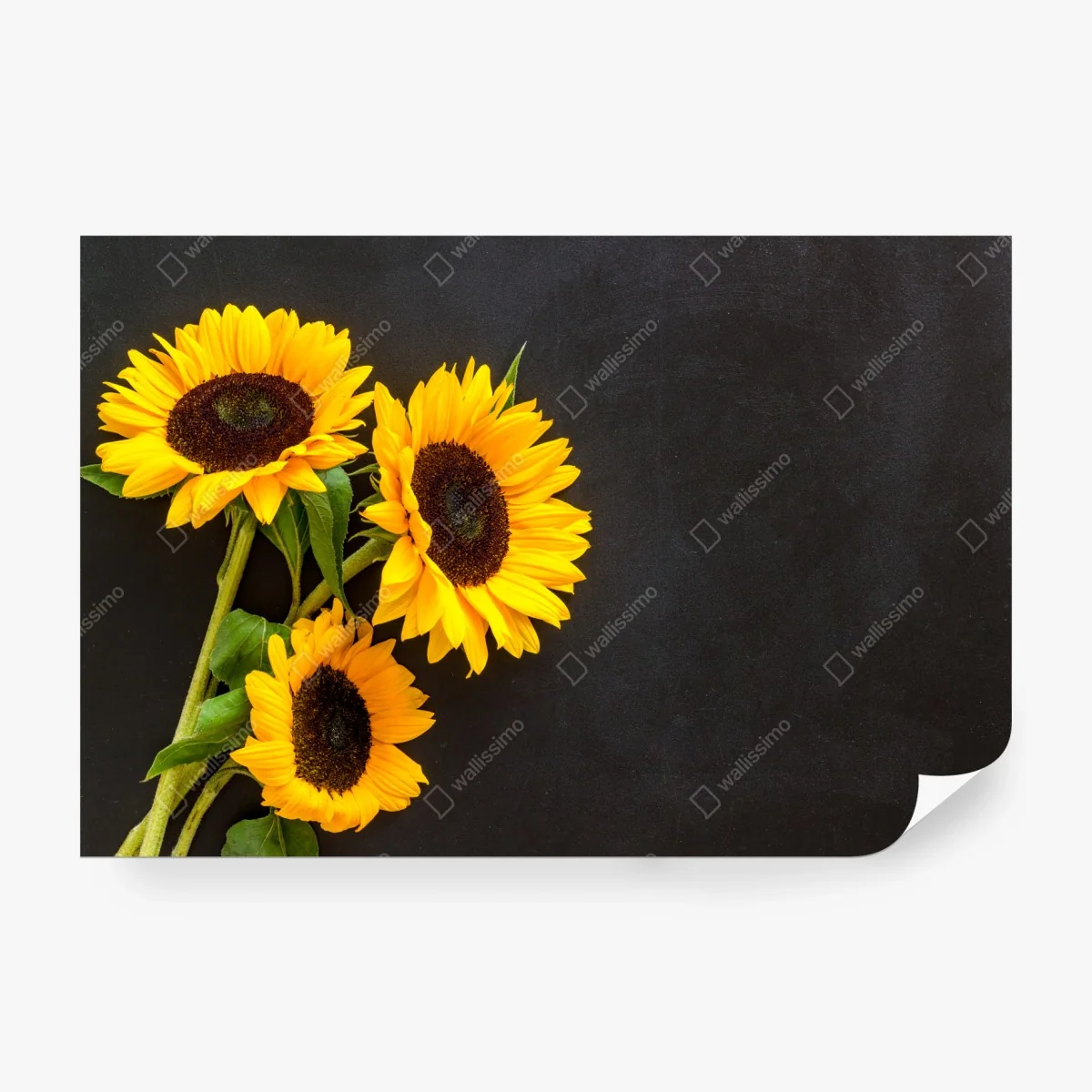 Papier peint bouquet de tournesols sur fond noir – Wallnifity® Papier peint bouquet de tournesols sur fond noir – Wallnifity®