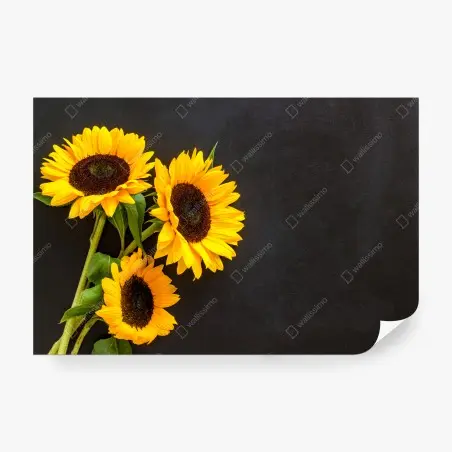 Papier peint bouquet de tournesols sur fond noir – Wallnifity®