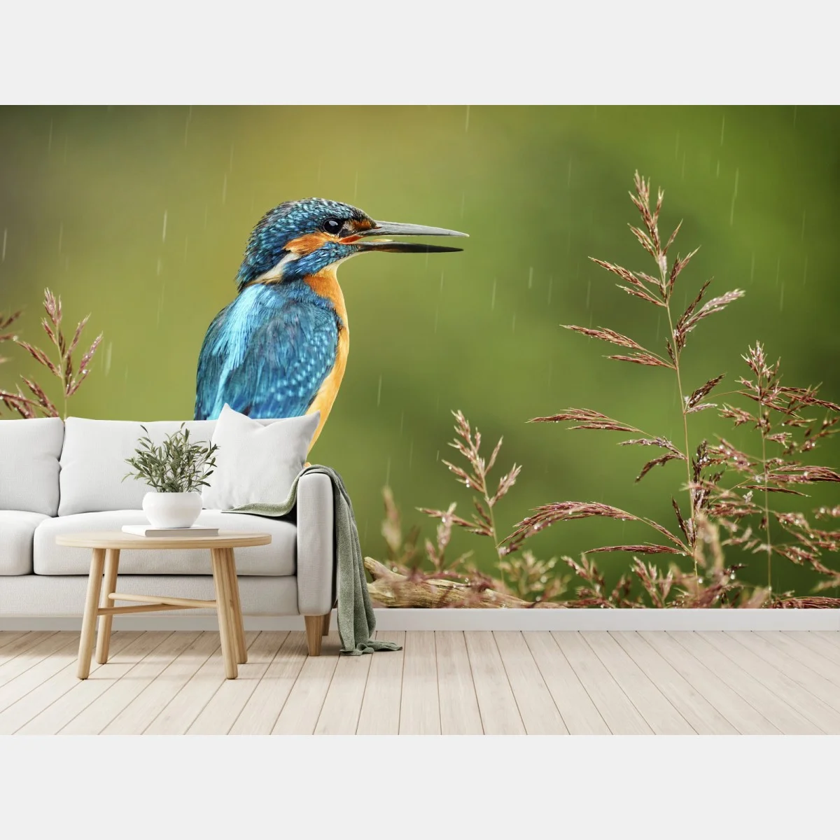 Papier peint martin-pêcheur coloré sur perche sous la pluie – Wallnifity® Papier peint martin-pêcheur coloré sur perche sous la pluie – Wallnifity®