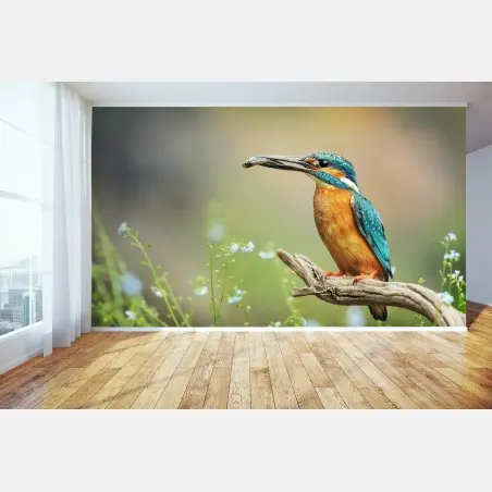 Papier peint martin-pêcheur bleu-orange sur branche – Wallnifity®