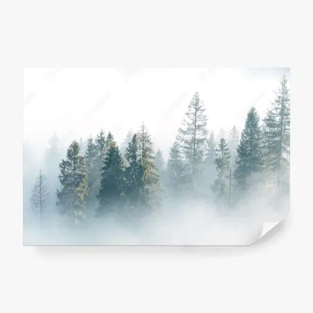 Papier peint brume matinale sur la forêt de sapins – Wallnifity®