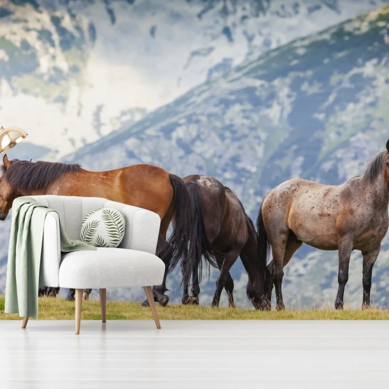 Papier peint chevaux sauvages sur l'alpage – Wallnifity® Papier peint chevaux sauvages sur l'alpage – Wallnifity®