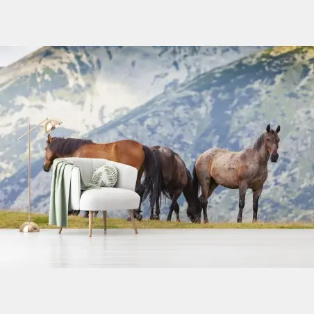 Papier peint chevaux sauvages sur l'alpage – Wallnifity®