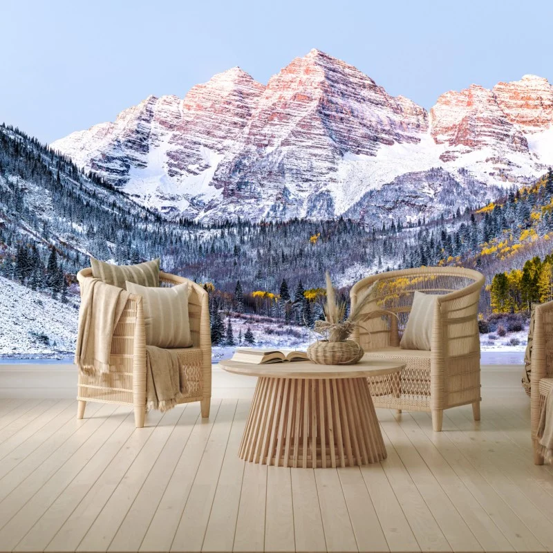 Salon – Wallnifity®
