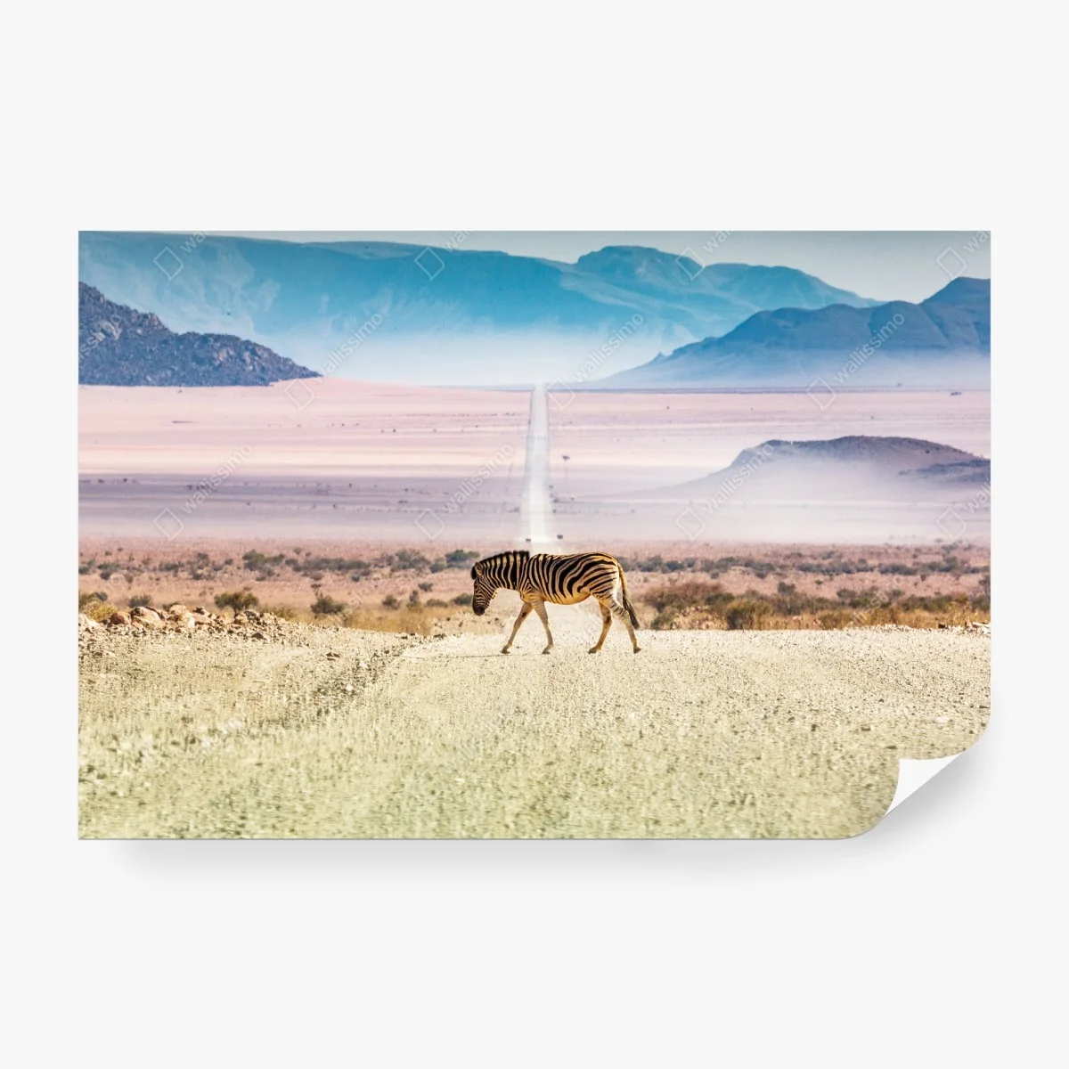 Papier peint zèbre solitaire sur la route du désert – Wallnifity® Papier peint zèbre solitaire sur la route du désert – Wallnifity®