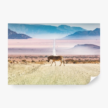 Papier peint zèbre solitaire sur la route du désert – Wallnifity®