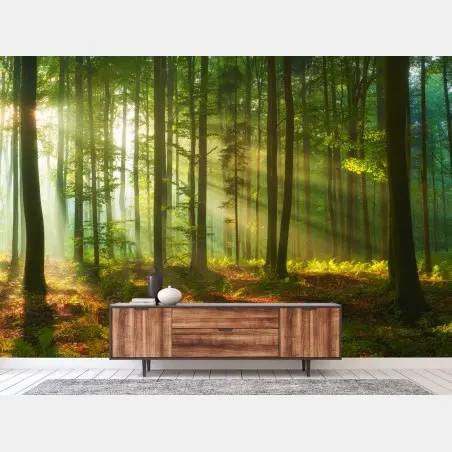 Papier peint aube dorée dans la forêt – Wallnifity®