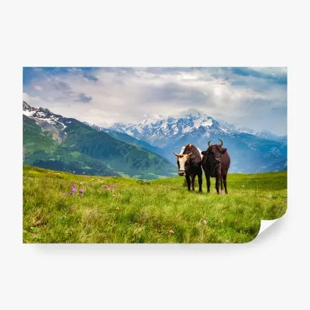 Papier peint scène pastorale dans les alpages – Wallnifity®