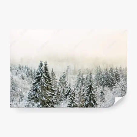 Papier peint forêt enneigée et brumeuse – Wallnifity®