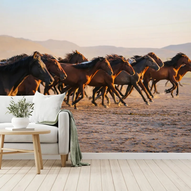 Chevaux – Wallnifity®