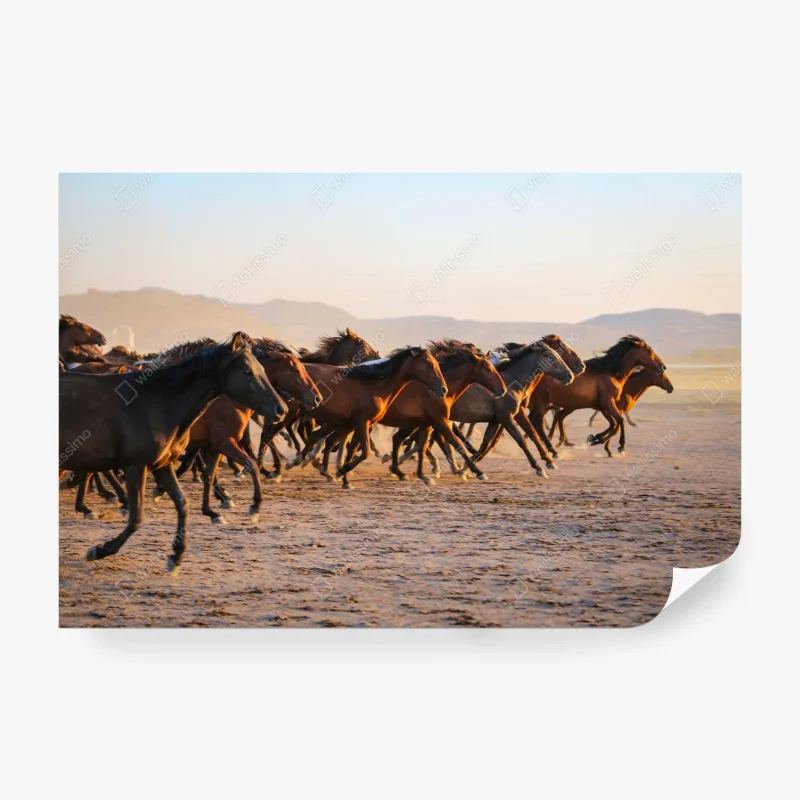 Papier peint troupeau de chevaux yilki au galop à Kayseri – Wallnifity® Papier peint troupeau de chevaux yilki au galop à Kayseri – Wallnifity®
