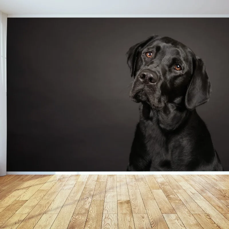 Animaux domestiques – Wallnifity®