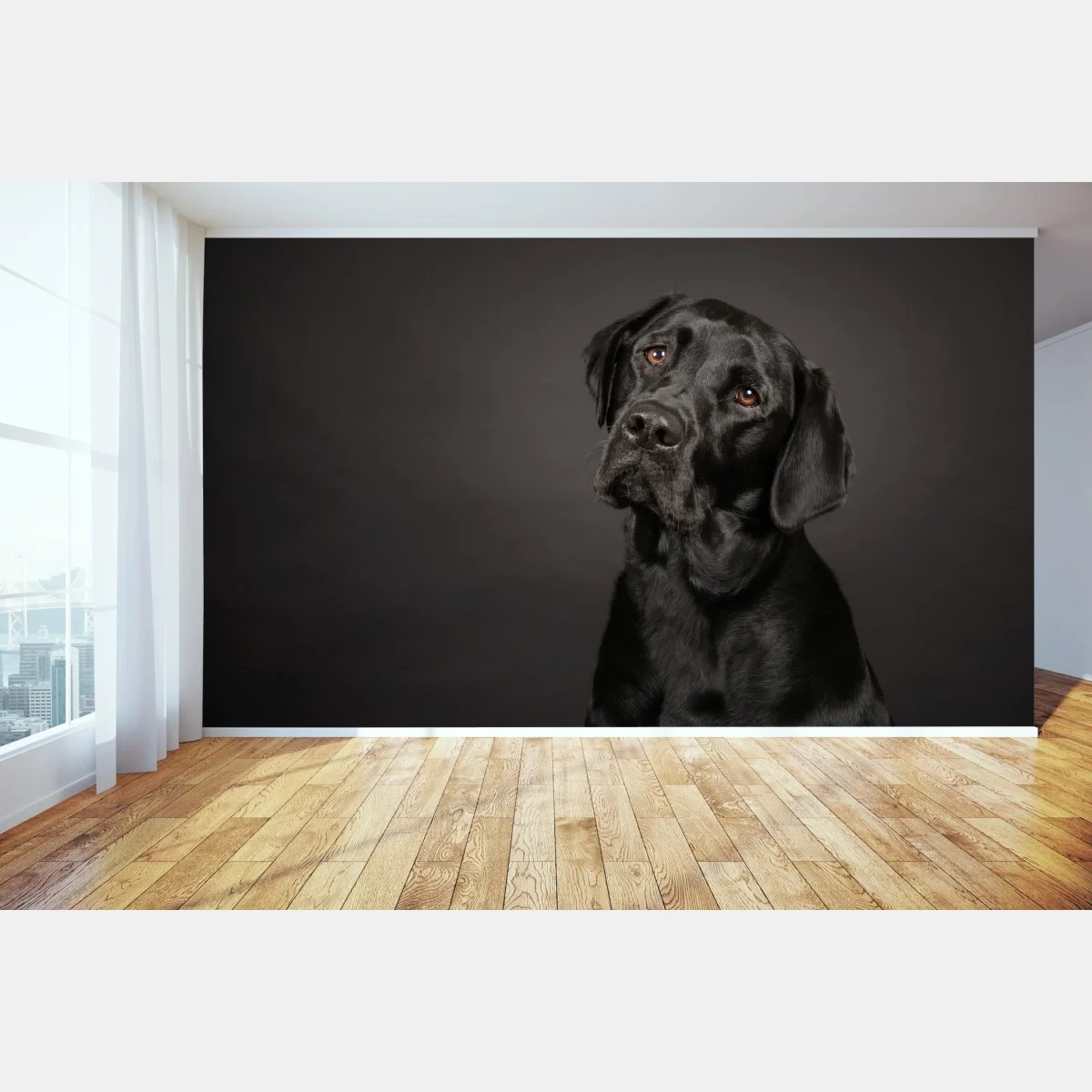 Papier peint portrait élégant d'un labrador noir – Wallnifity® Papier peint portrait élégant d'un labrador noir – Wallnifity®