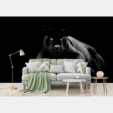 Papier peint regard perçant de la panthère noire – Wallnifity®