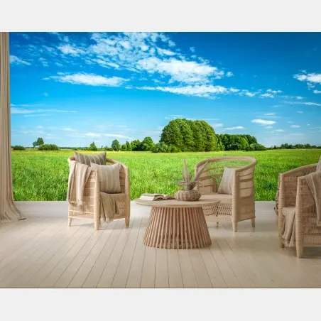 Papier peint paysage de prairie sous ciel bleu – Wallnifity®