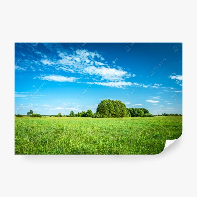 Papier peint paysage de prairie sous ciel bleu – Wallnifity® Papier peint paysage de prairie sous ciel bleu – Wallnifity®