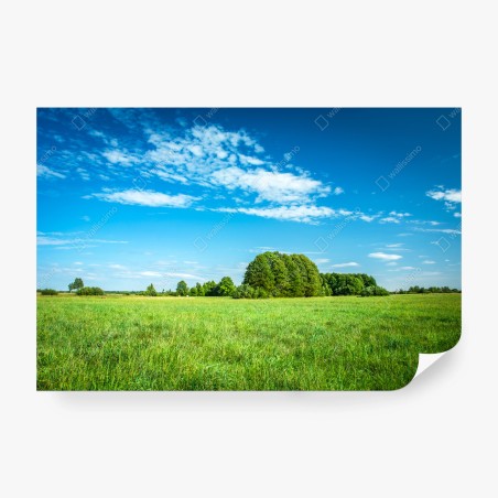 Papier peint paysage de prairie sous ciel bleu – Wallnifity®