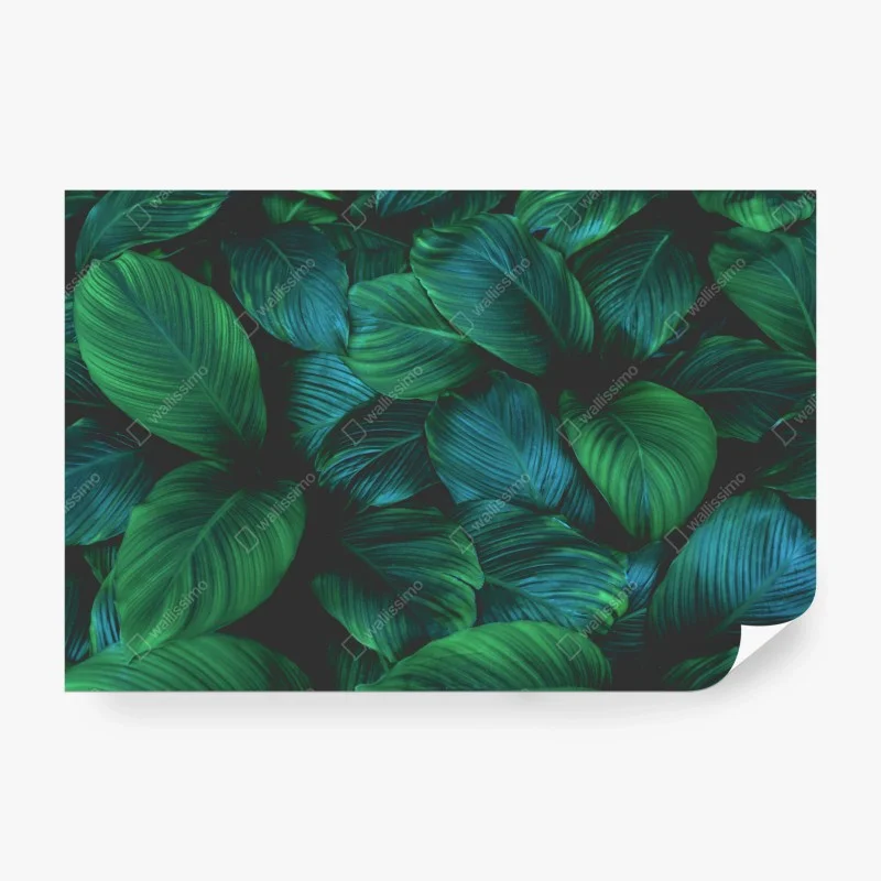 Papier peint motif feuilles tropicales luxuriantes – Wallnifity®