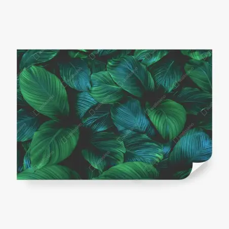 Papier peint motif feuilles tropicales luxuriantes – Wallnifity®
