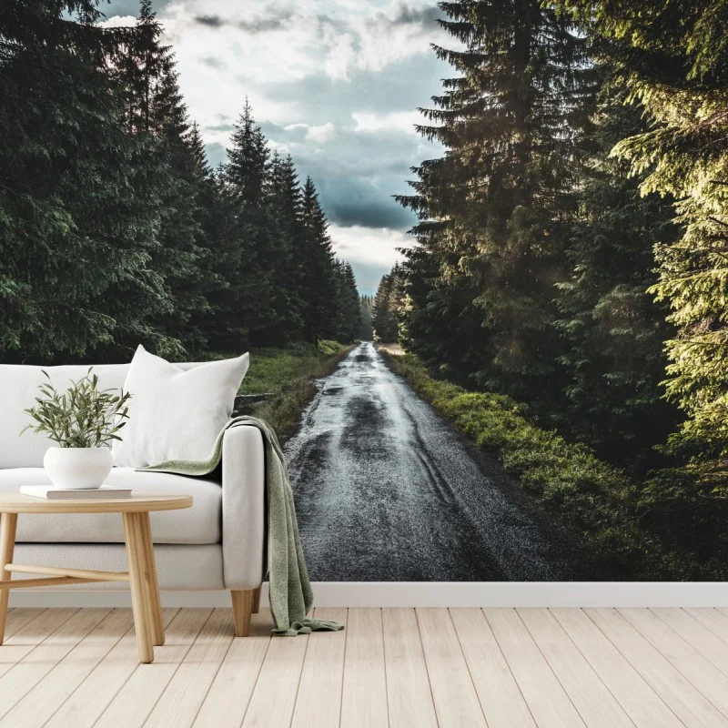 Papier peint route forestière sous ciel dramatique – Wallnifity® Papier peint route forestière sous ciel dramatique – Wallnifity®