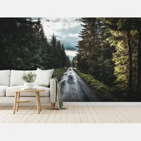 Papier peint route forestière sous ciel dramatique – Wallnifity®