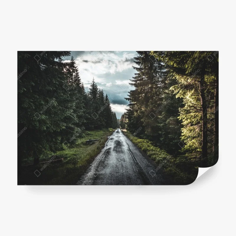 Papier peint route forestière sous ciel dramatique – Wallnifity® Papier peint route forestière sous ciel dramatique – Wallnifity®