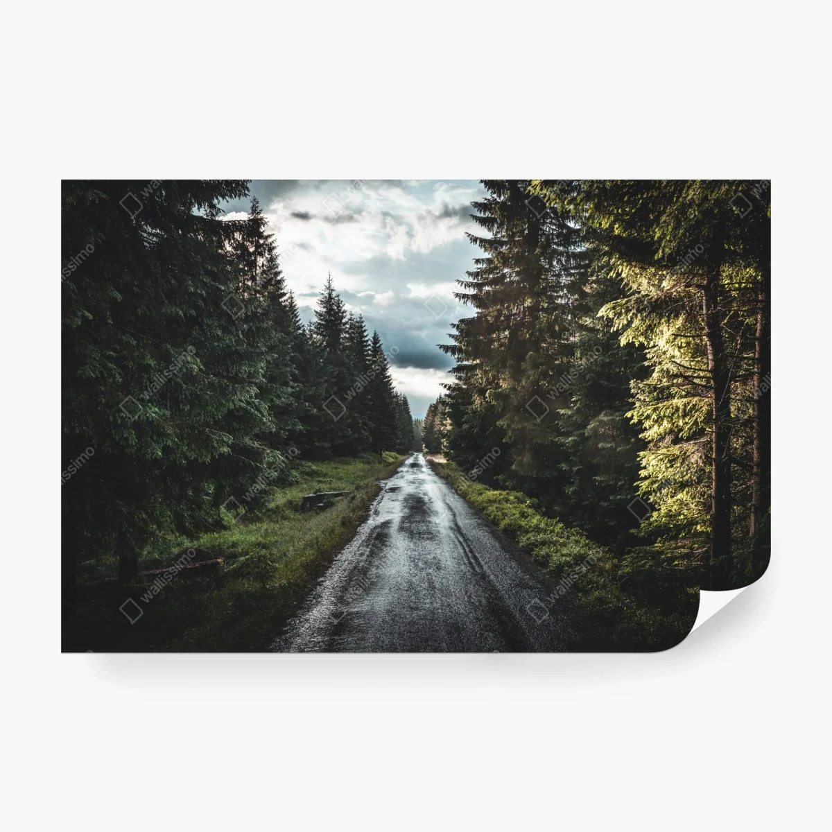 Papier peint route forestière sous ciel dramatique – Wallnifity® Papier peint route forestière sous ciel dramatique – Wallnifity®