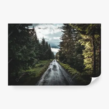 Papier peint route forestière sous ciel dramatique – Wallnifity®