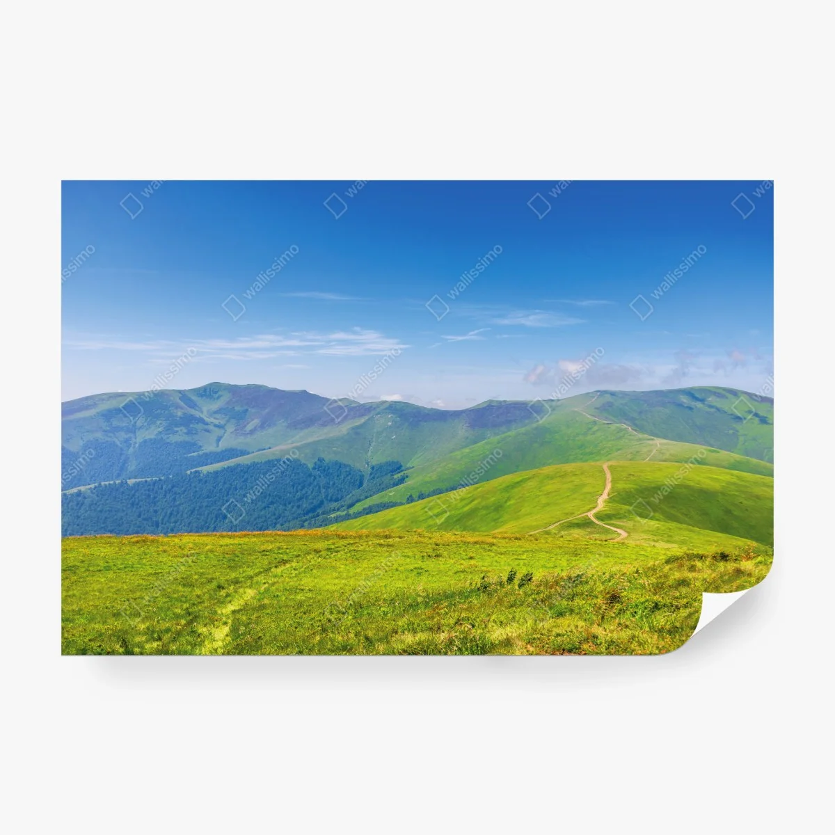Papier peint panorama estival des collines de la Transcarpathie, Ukraine – Wallnifity® Papier peint panorama estival des collines de la Transcarpathie, Ukraine – Wallnifity®