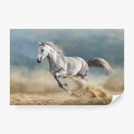 Papier peint cheval gris en plein galop – Wallnifity®
