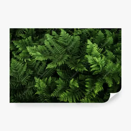 Papier peint motif fougères luxuriantes pour décoration murale – Wallnifity®