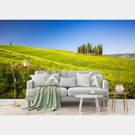 Papier peint évasion Toscane: collines verdoyantes et cyprès – Wallnifity®